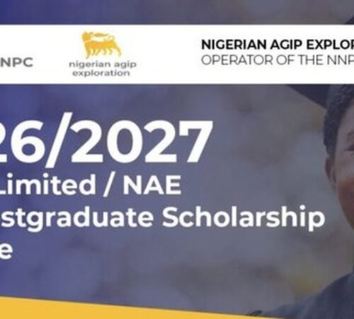 The Opportunity Here