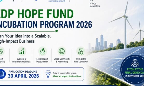 The Opportunity Here