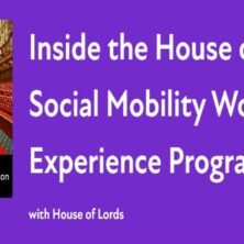 The Opportunity Here