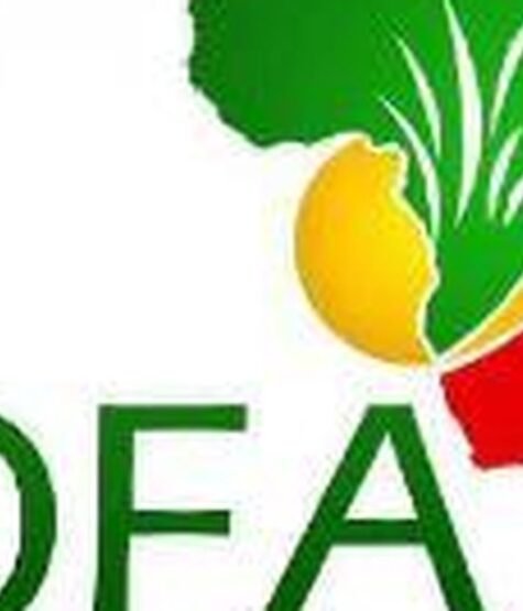 The Opportunity Here