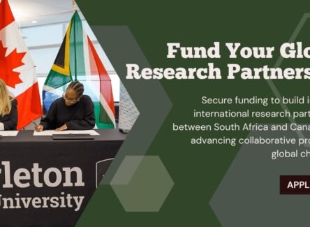 The Opportunity Here