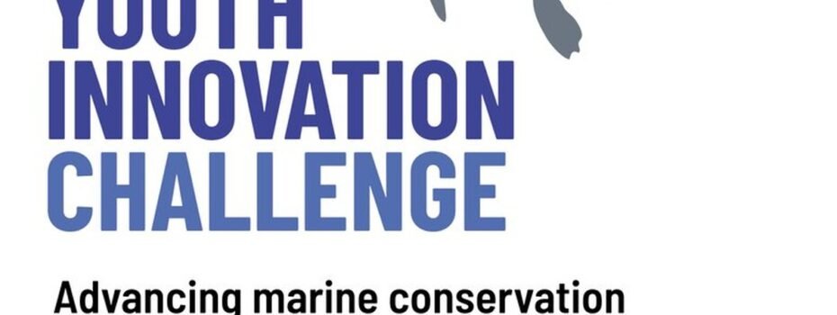 The Opportunity Here