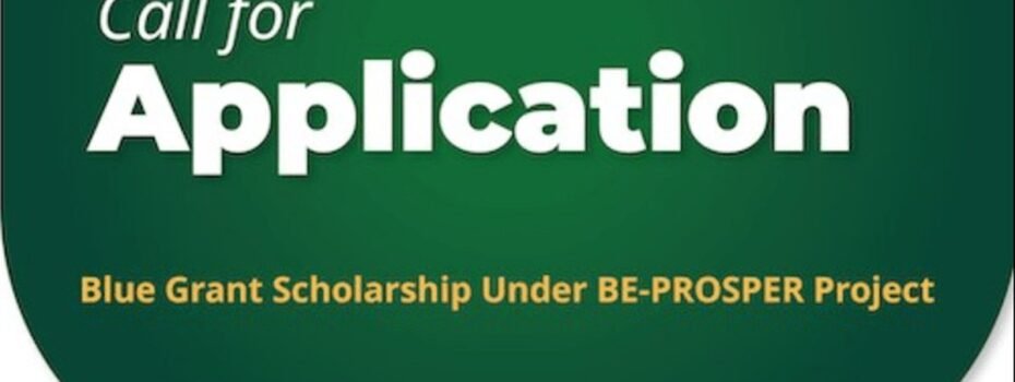 The Opportunity Here