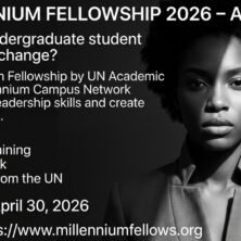 The Opportunity Here