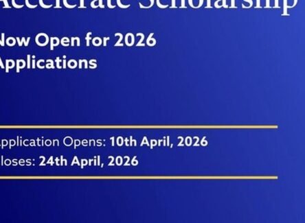 The Opportunity Here