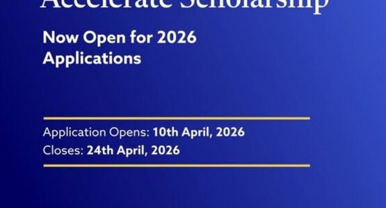 The Opportunity Here