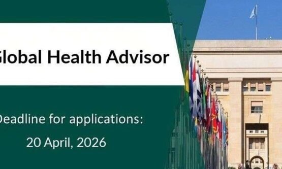 The Opportunity Here