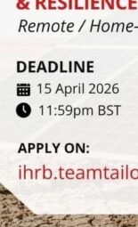 The Opportunity Here