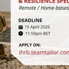 The Opportunity Here