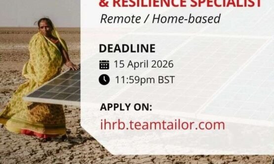 The Opportunity Here