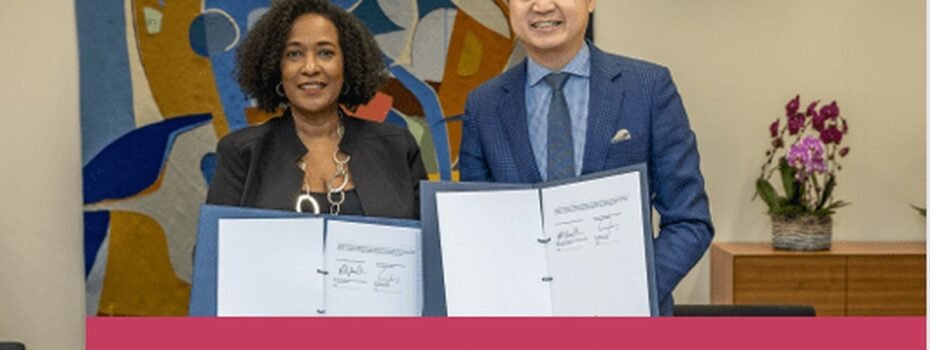 The Opportunity Here