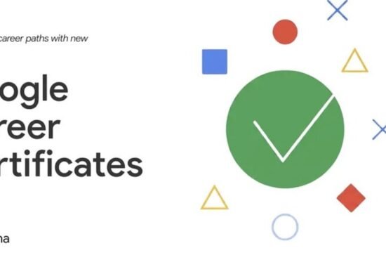 The Opportunity Here