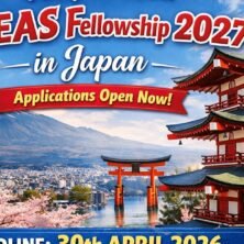 The Opportunity Here