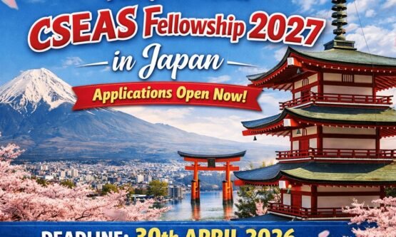 The Opportunity Here