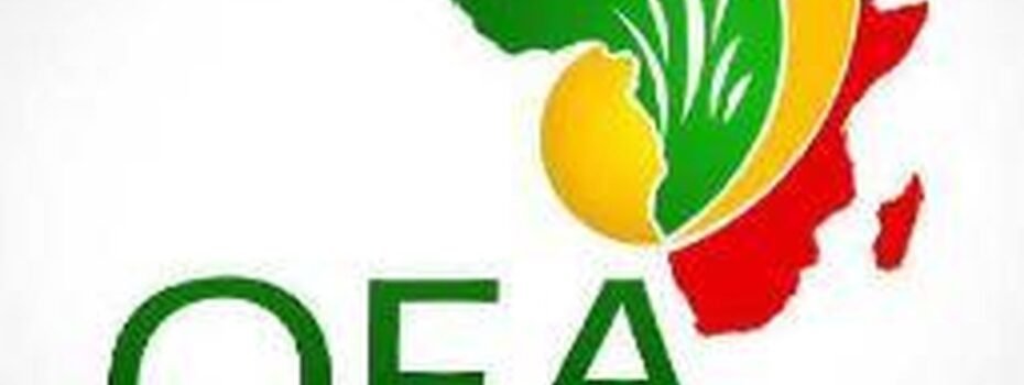 The Opportunity Here