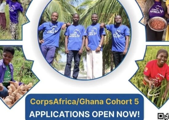 The Opportunity Here