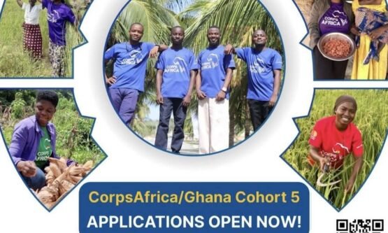 The Opportunity Here