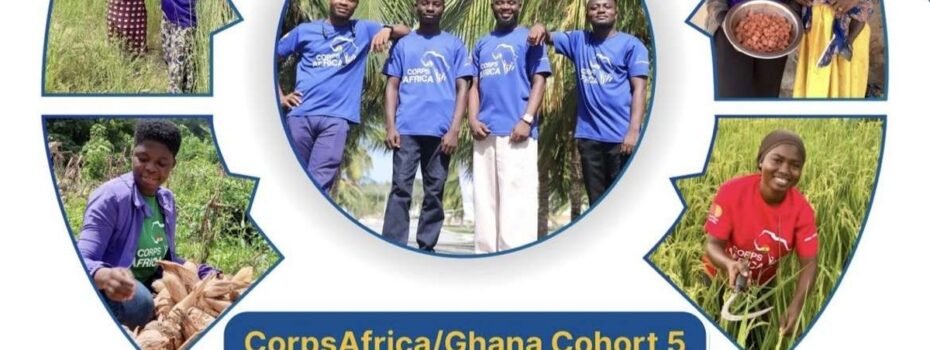 The Opportunity Here