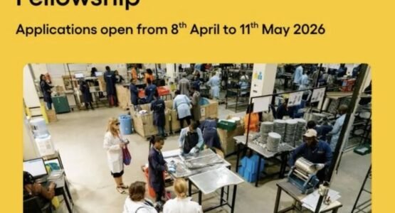 The Opportunity Here