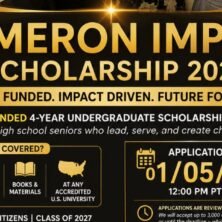 The Opportunity Here