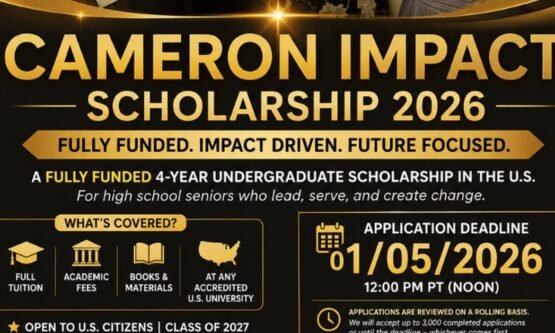 The Opportunity Here