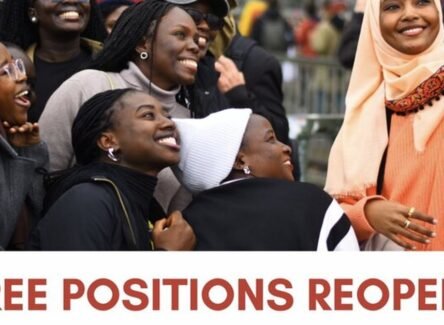 The Opportunity Here