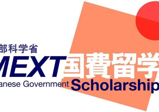 The Opportunity Here