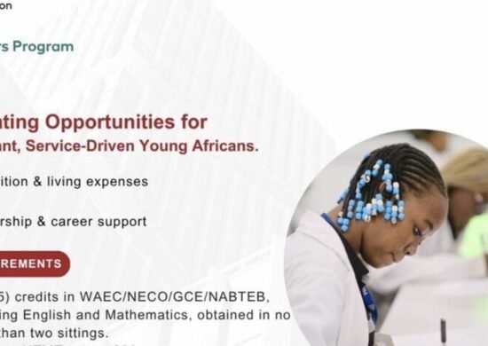 The Opportunity Here