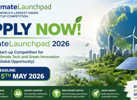 The Opportunity Here