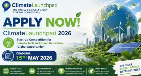 The Opportunity Here