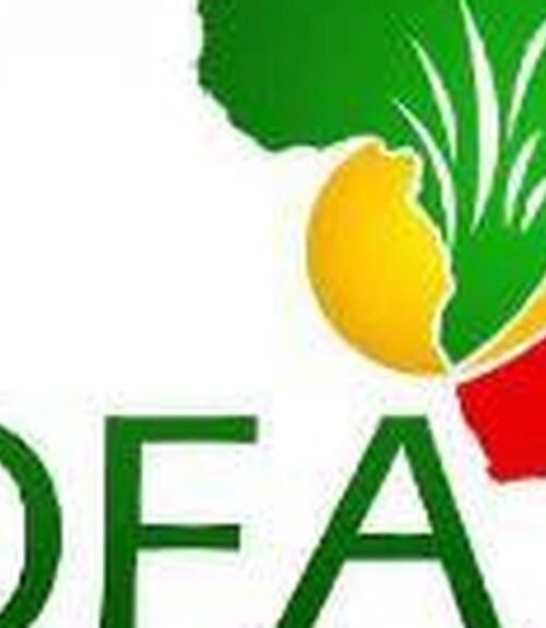 The Opportunity Here