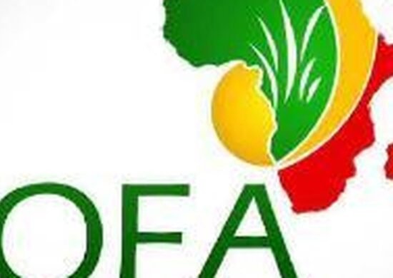 The Opportunity Here