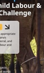 The Opportunity Here