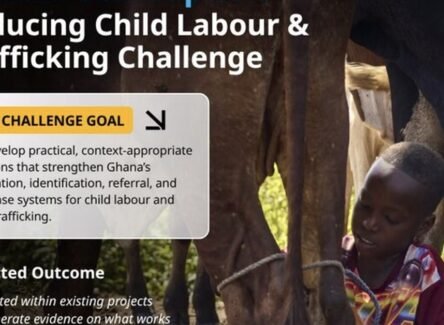 The Opportunity Here