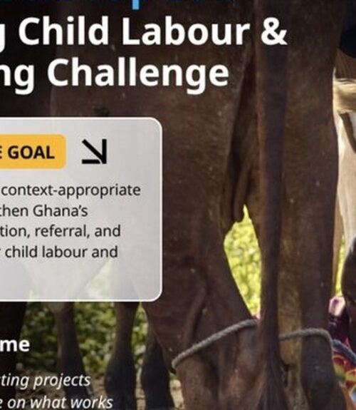 The Opportunity Here