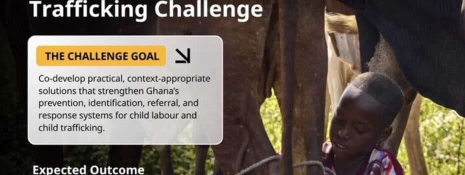 The Opportunity Here