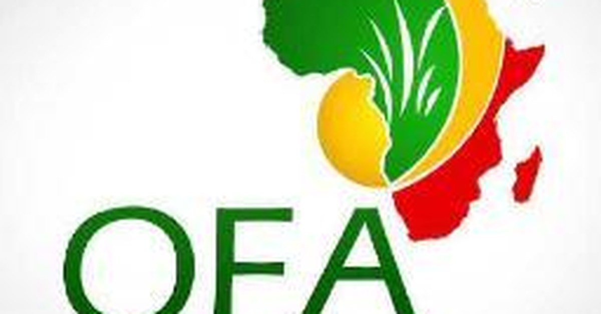 2026 GSK Africa Fellowship