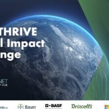 The Opportunity Here