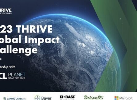 The Opportunity Here