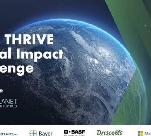 The Opportunity Here