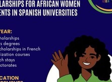 The Opportunity Here