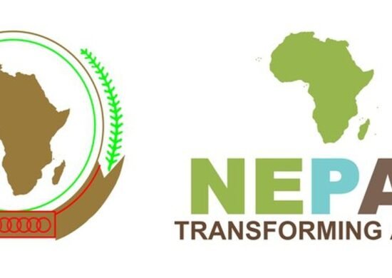 The Opportunity Here