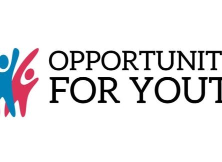 The Opportunity Here