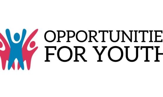 The Opportunity Here