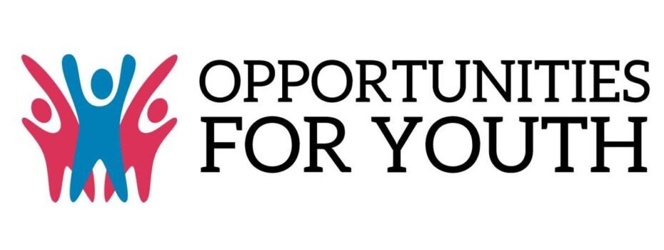 The Opportunity Here