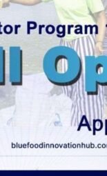 The Opportunity Here