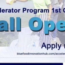 The Opportunity Here