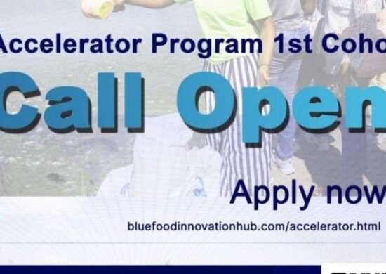 The Opportunity Here