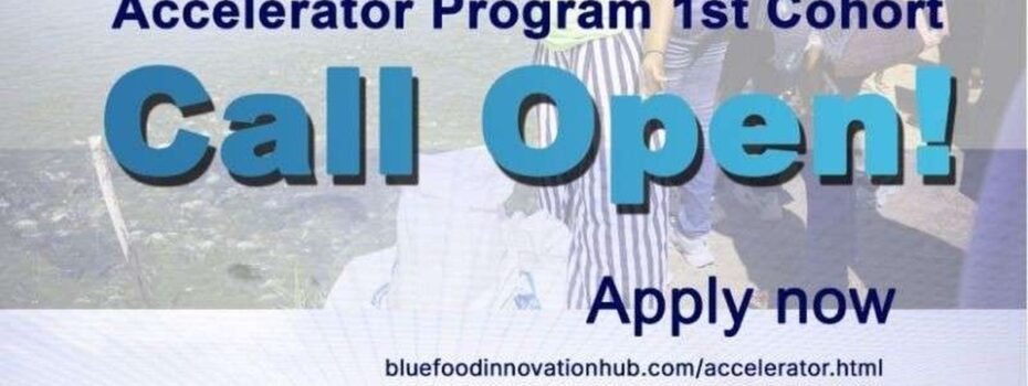 The Opportunity Here