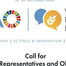 The Opportunity Here